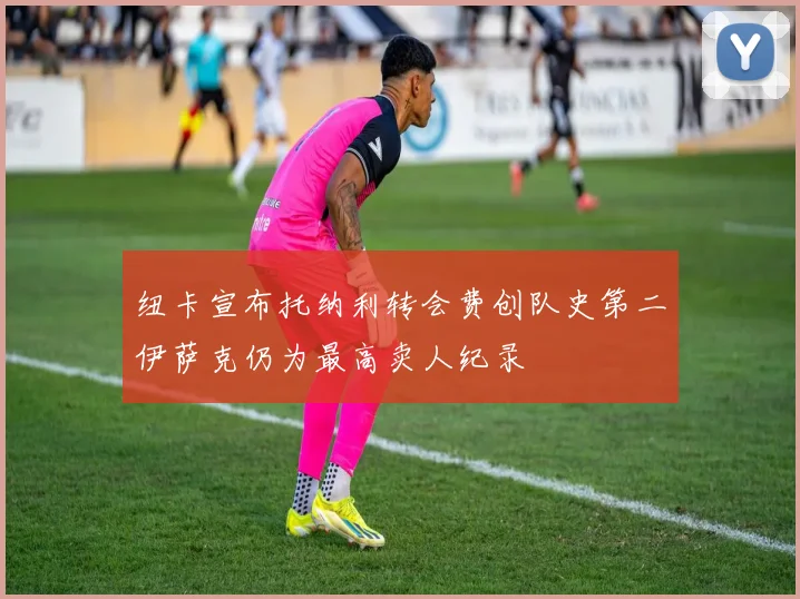 纽卡宣布托纳利转会费创队史第二伊萨克仍为最高卖人纪录