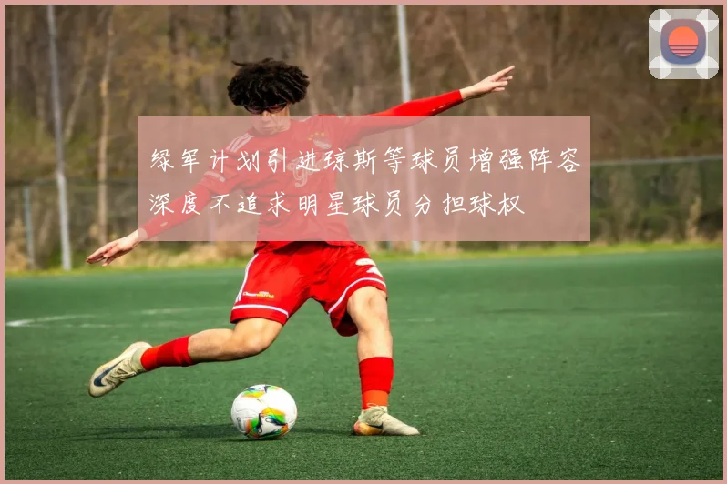 绿军计划引进琼斯等球员增强阵容深度不追求明星球员分担球权